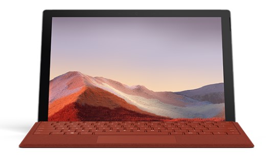 岳阳楼清洁和维护 Surface
